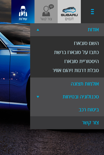 Subaru | Web Custom Icon Menu Design